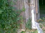 SmrKitch_Door SmrKitch_Door